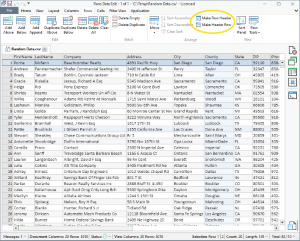 Window Make Row Header